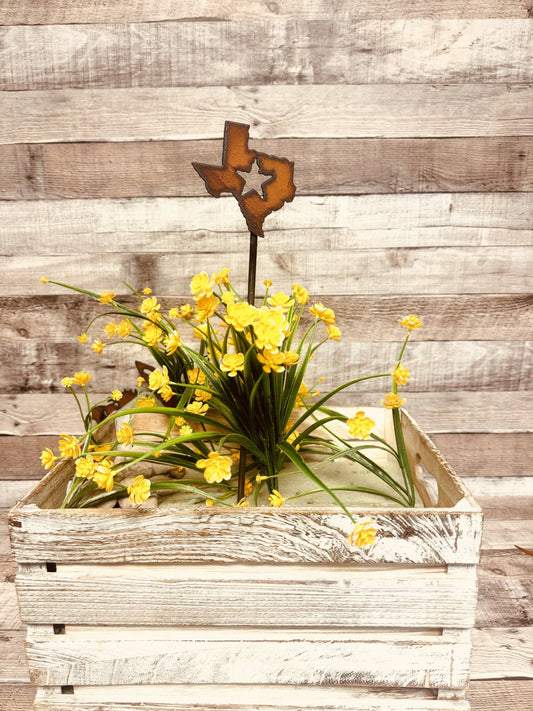 State of Texas with Star Plant Stake