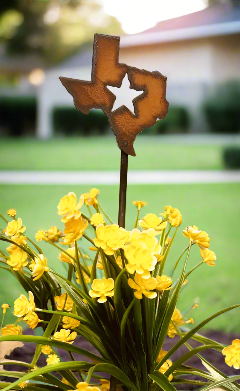 State of Texas with Star Plant Stake